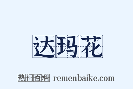 达玛花是什么意思的图片